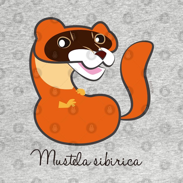 Siberian weasel Mustela sibirica by belettelepink